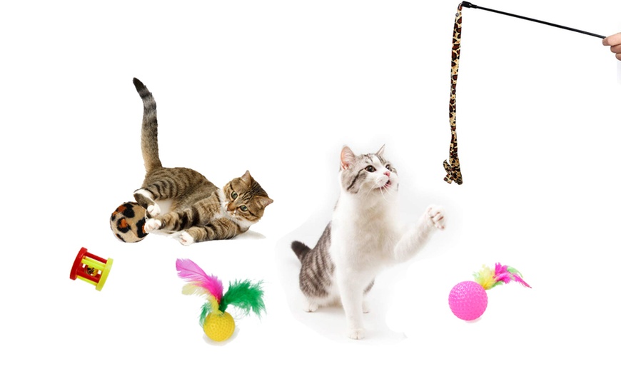 Image 5: 21-Piece Cat Toy Pet Set