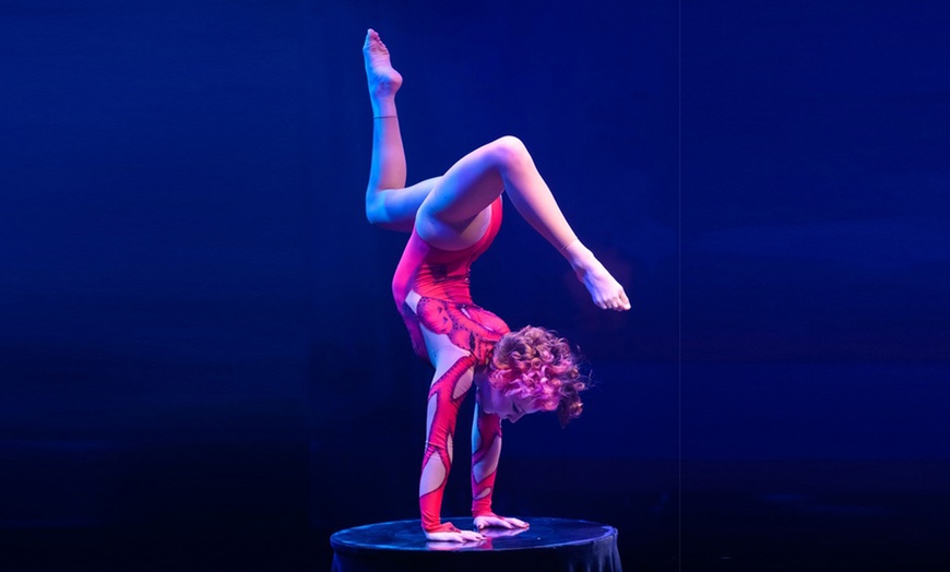 Image 3: „Circus Sessions“: Sitzplatz-Ticket am  24.08.2025