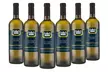 6 o 12 botellas de vinos blancos italianos: Soave, Grillo y Pinot Grigio - Second Medium