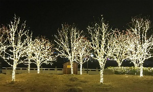 Solar-Powered Xmas LED Fairy Lights 