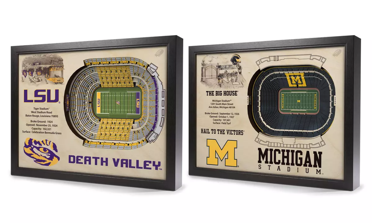 You The Fan NCAA Stadium View 3D Wall Art - Primary Image