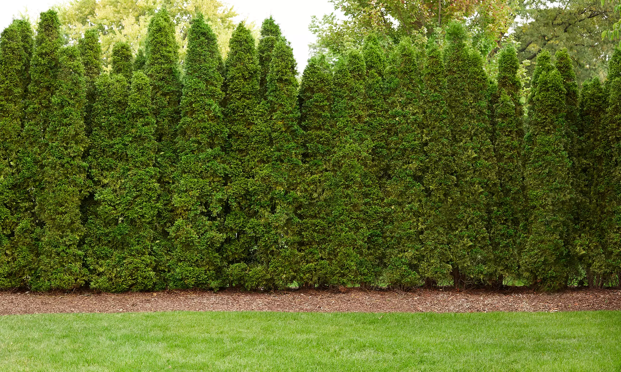 Up to One or Half of an Acre of Mosquito Control Treatment from Mosquito Hunters (Up to 63% Off) - Primary Image