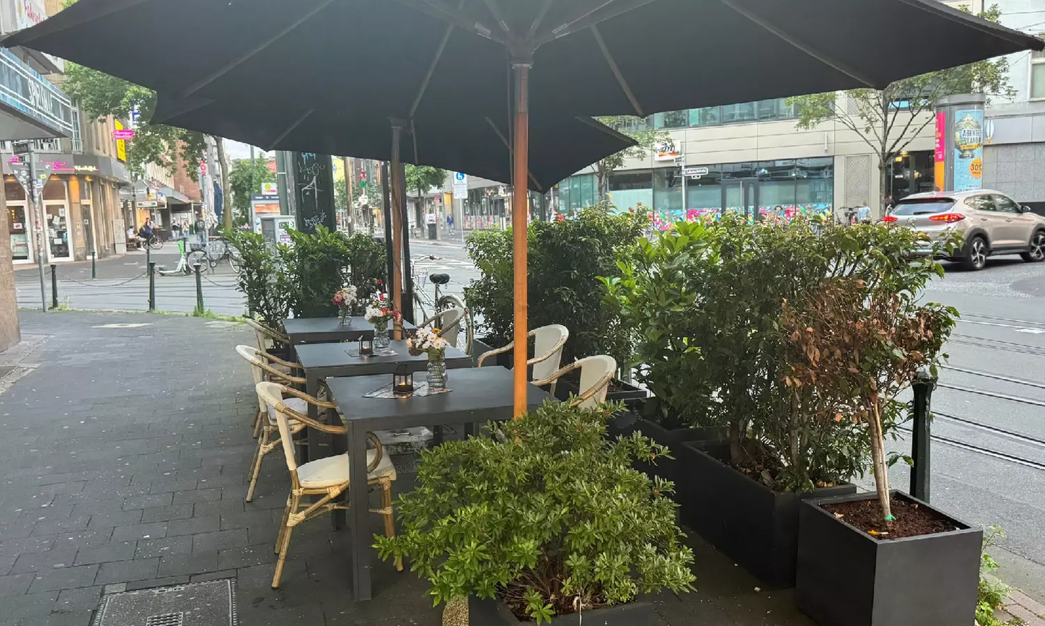 Authentische italienische Küche: 1 Hauptgericht nach Wahl