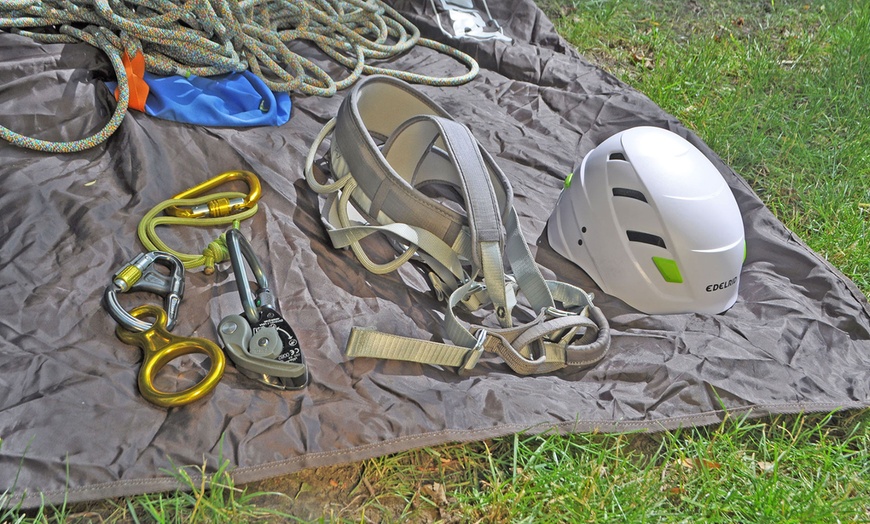 Image 3: Adrenalin pur beim 3-stündigen Outdoor-Baumklettern-Workshop