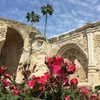 Image 7: Mission San Juan Capistrano – 50% Off Visit