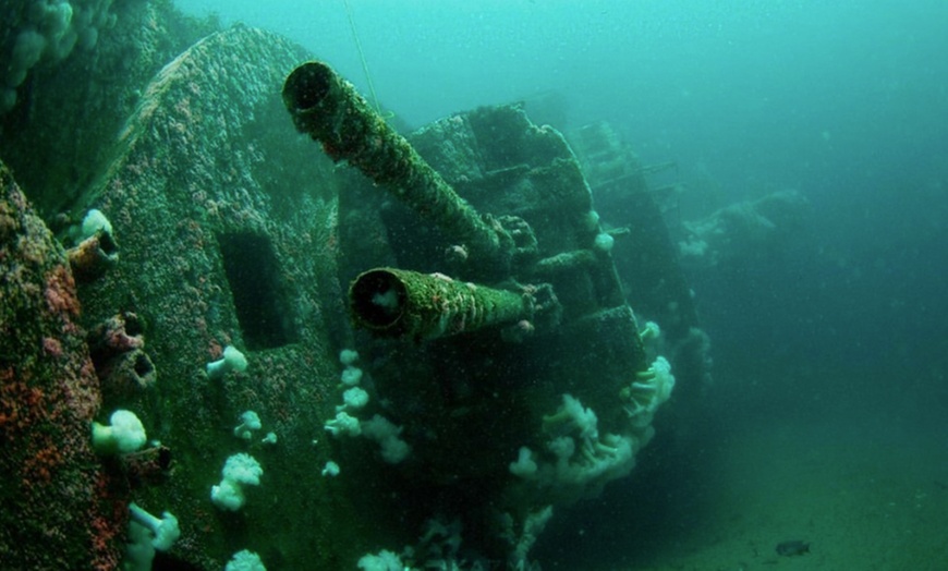 Image 7: Up to 34% Off Epic San Diego SCUBA Diving Excursions