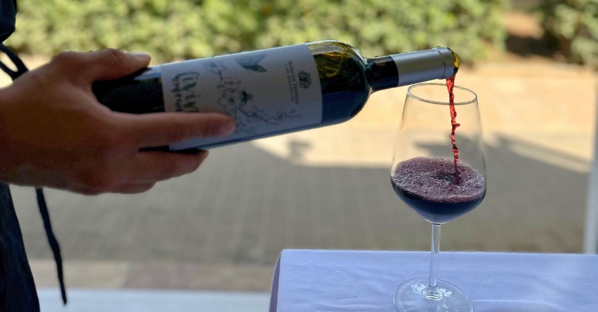 Cata de vinos con tabla de quesos frente al mar en Valencia
