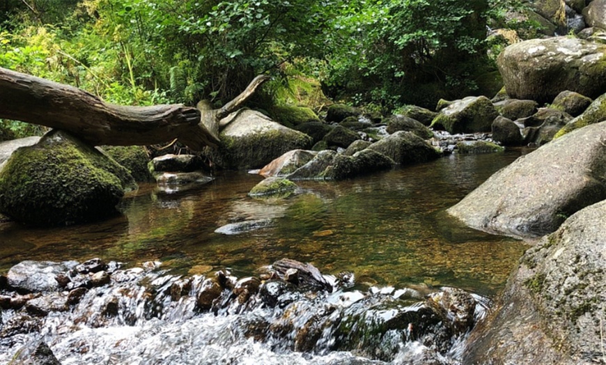 Becky Falls Ancient Woodland Park in - Newton Abbot, | Groupon