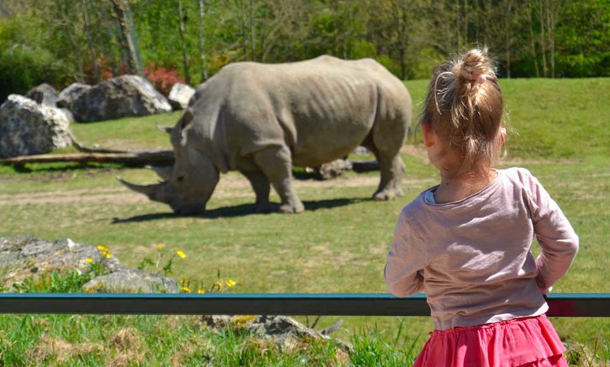 Image 10: Entrée au ZooParc de Beauval