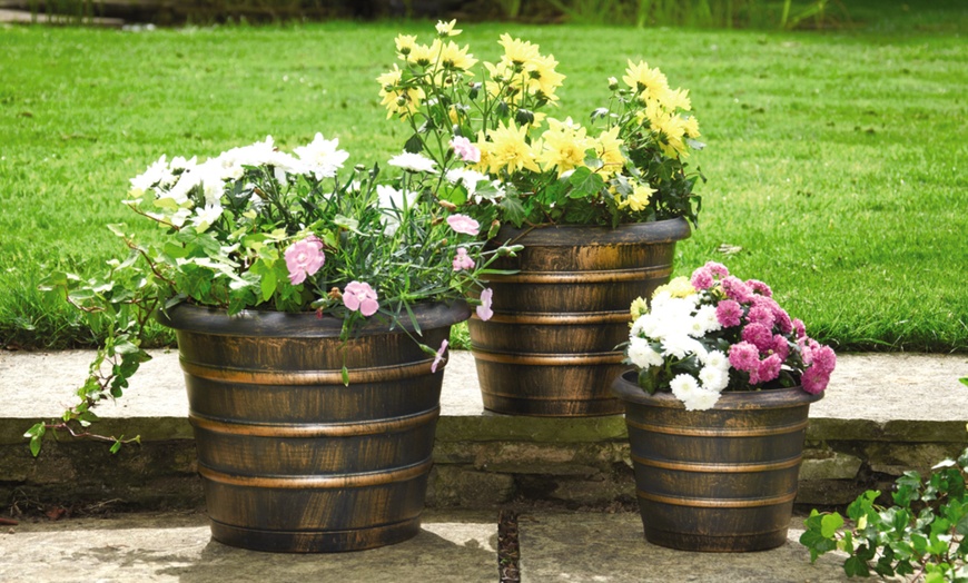 Image 4: Designer Planter Set Collection