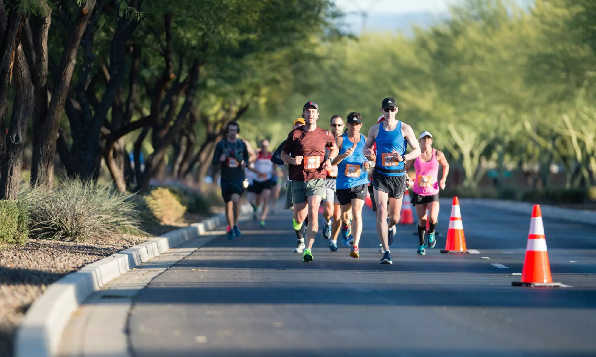 Buckeye Marathon on Saturday, January 7, 2023 - Primary Image