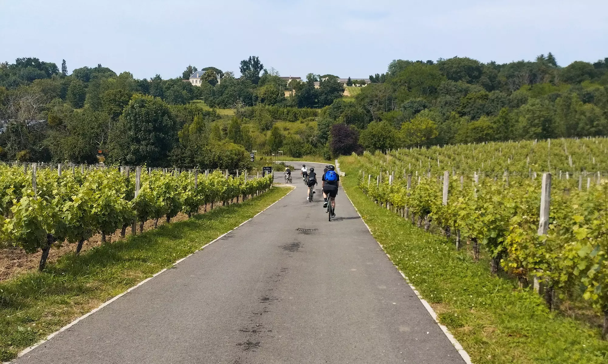 Tour du centre historique de Bordeaux et visite de vignoble