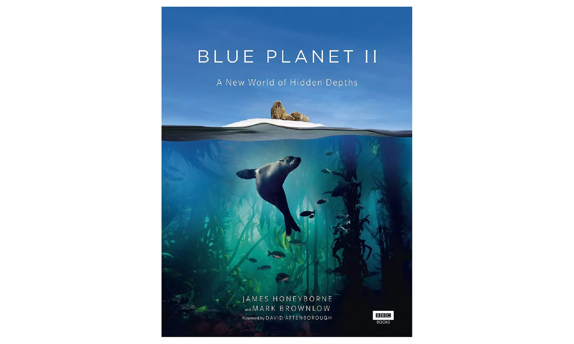 James Honeyborne and Mark Brownlow Blue Planet II: A New World of Hidden Depths Book - Primary Image
