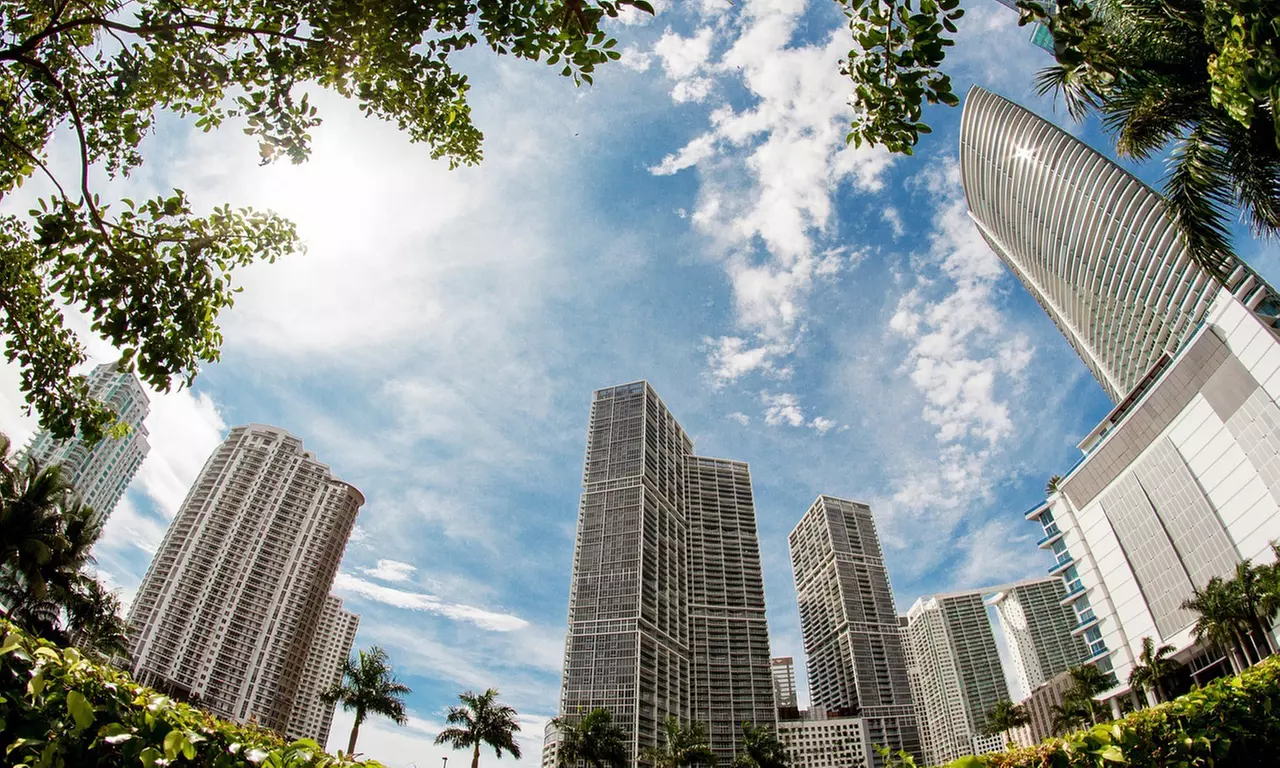 Self-guided tour for 2 hrs Wynwood / Miami Beach / Downtown Miami