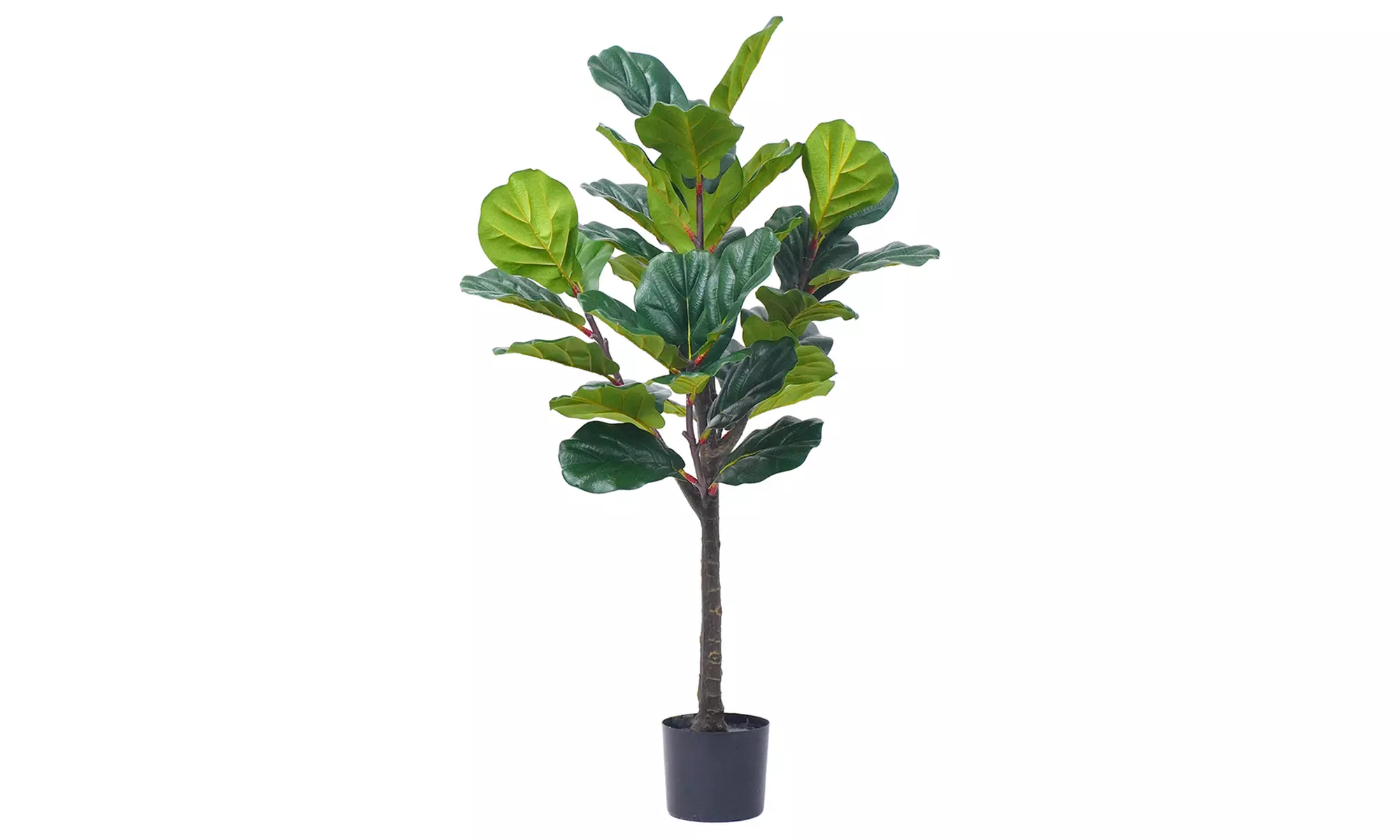 Collezione di piante finte da interno