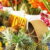 Image 7: Up to 55% Off Oahu Full-Day Island Tour - Aloha Fantasy Tours