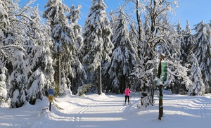 Thüringer Wald: 2 bis 5 Nächte mit Frühstück und Wellness