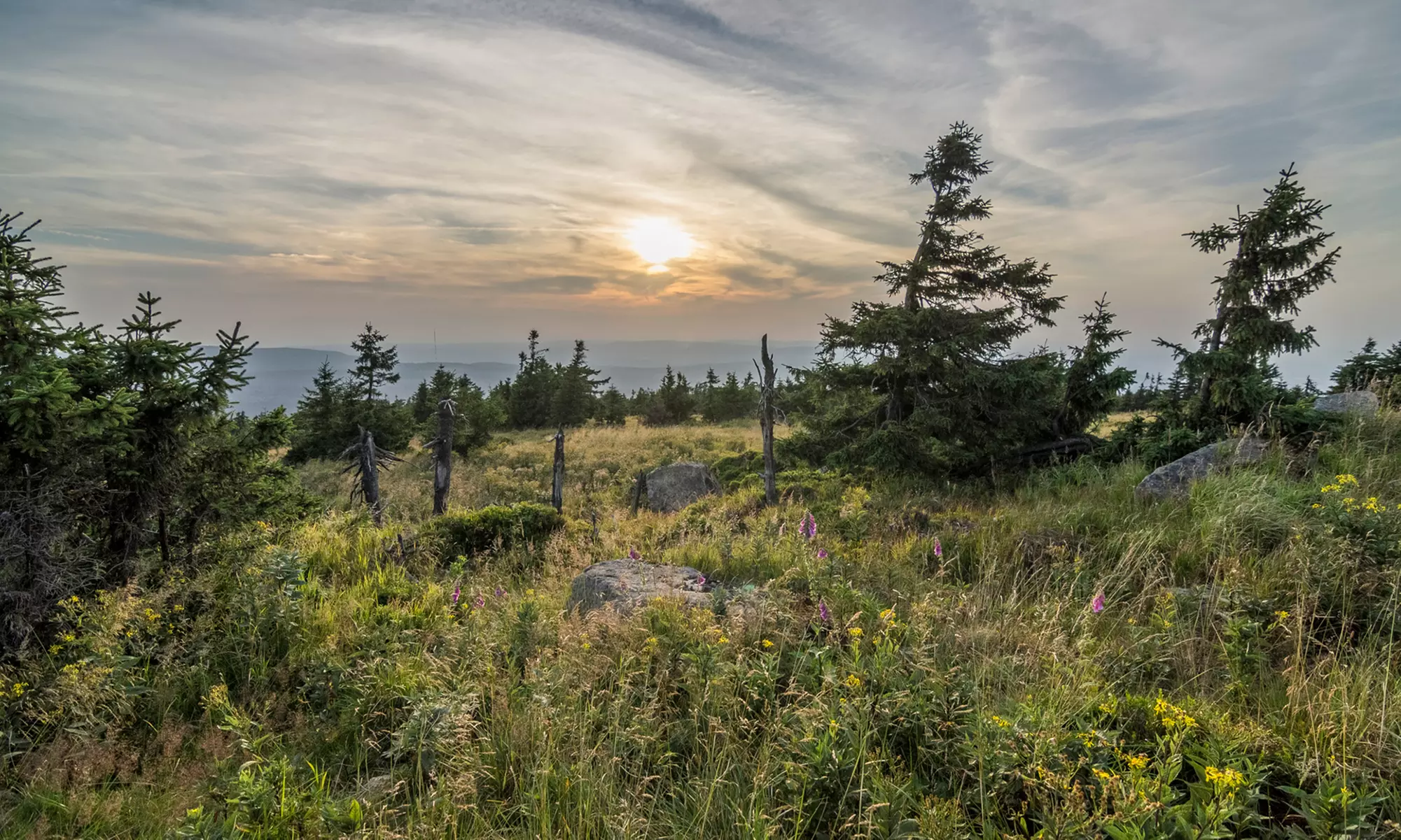Hotel in the heart of Oregon's Silicon Forest