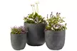 3 pots de fleurs de dimensions différentes, livraison offerte - Second Medium