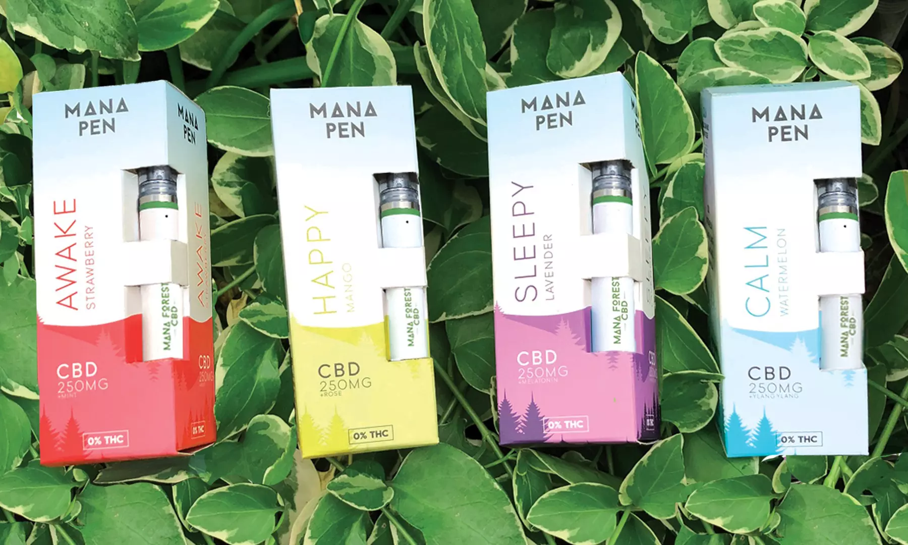 $29 for One eGift Card from Mana Forest CBD ($50 Value) - Primary Image