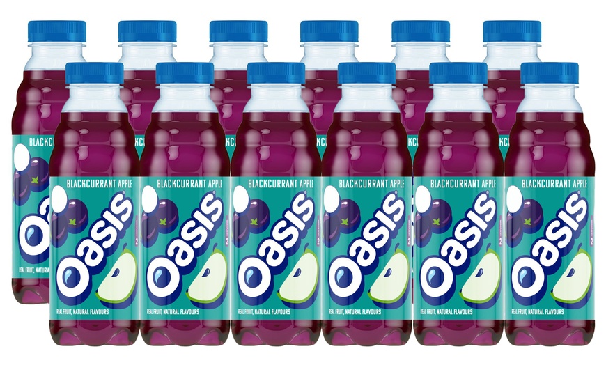 12 Bottles of Oasis Drink 500ml | Groupon Goods