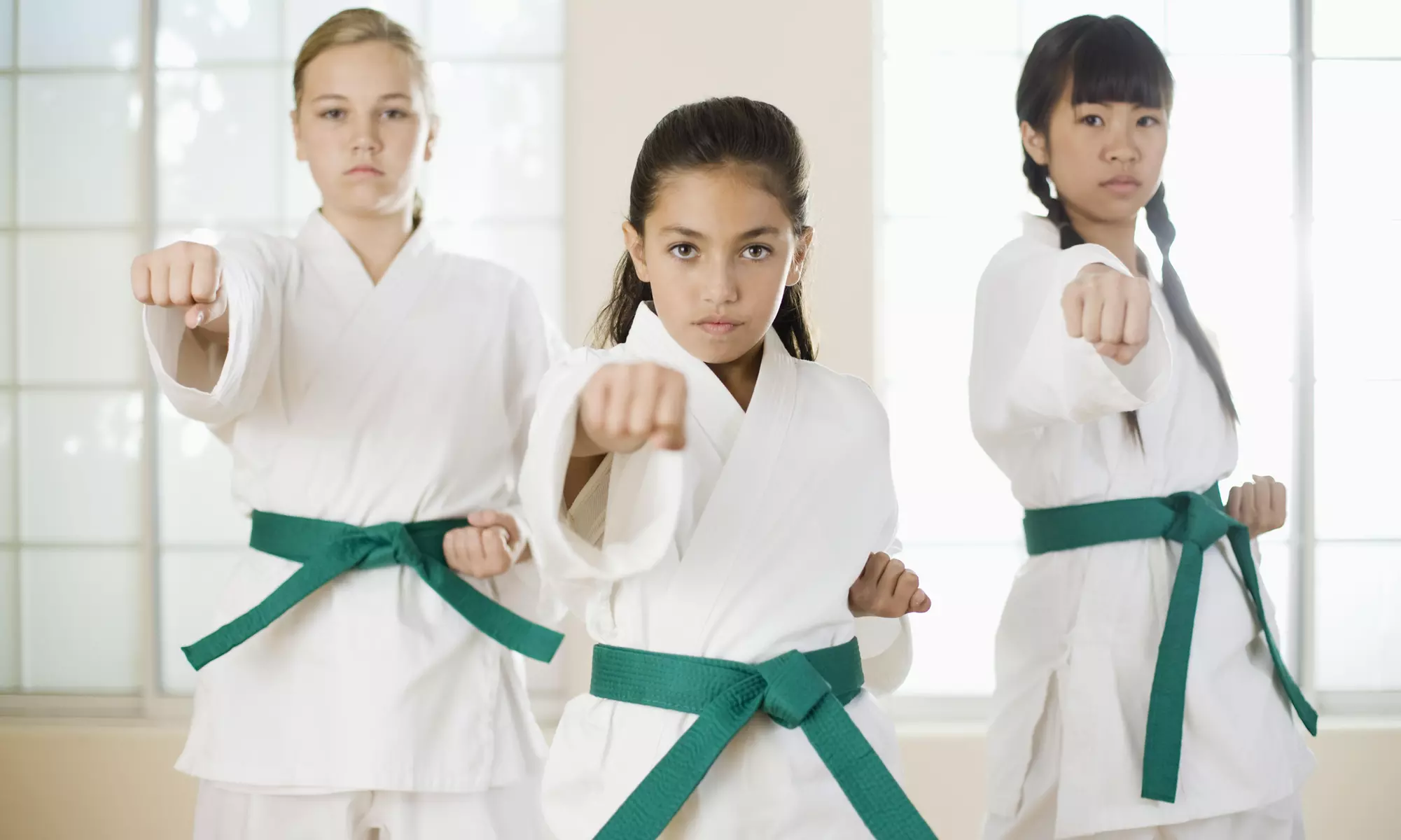 $45 for $180 Worth of Martial-Arts Lessons — Iacullo's Karate-Jiu Jitsu Studio of Self Defense - Primary Image