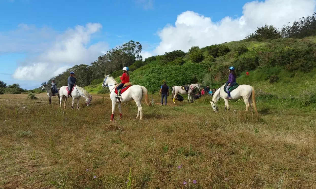 Paseo a caballo para 2 o 4 personas en Centro Hípico Las Riendas