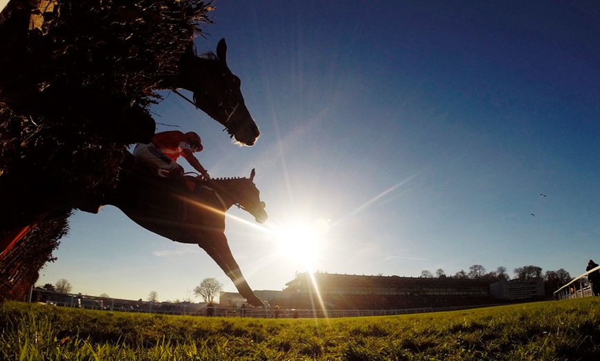 Image 2: Sandown Park Racecourse: Countryside Day