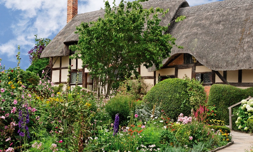 Image 7: Cottage Garden Perennial Plants