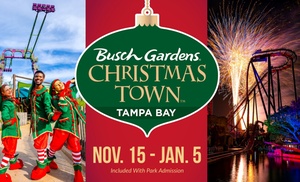 Holiday Sale! Save up to 64% at Busch Gardens Tampa