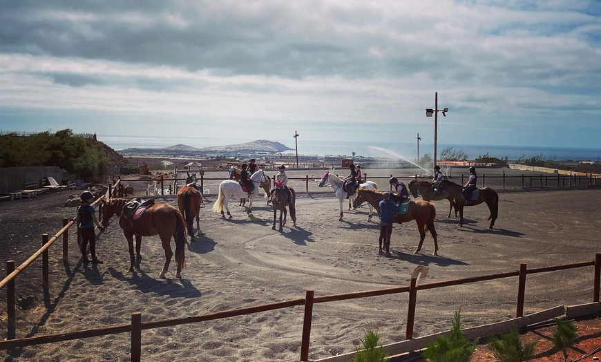 Image 9: ♞ Paseo a caballo para 2 personas con Horse Riding Canaria