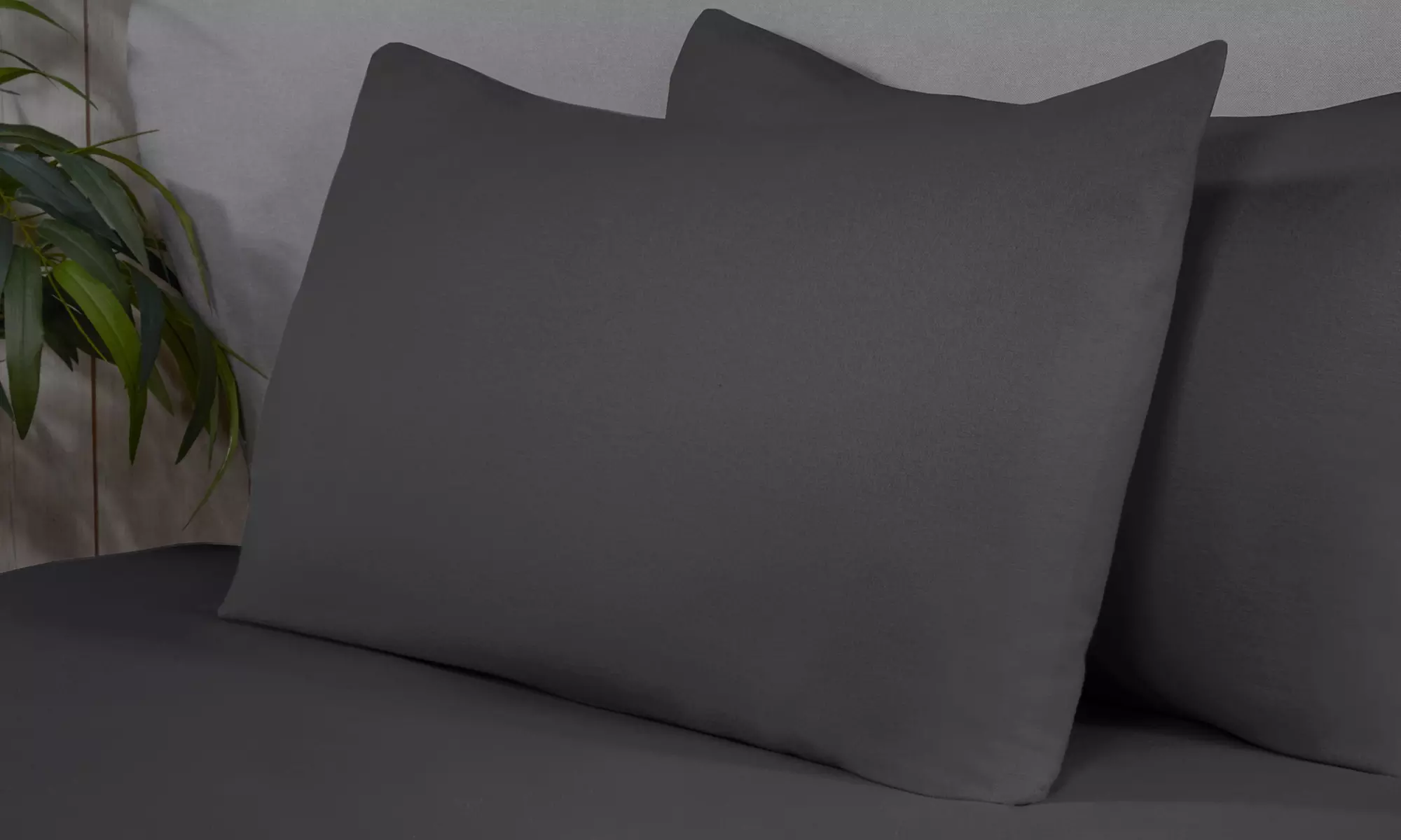 Brushed Cotton Flannelette Bedsheet or Pillowcase - Primary Image