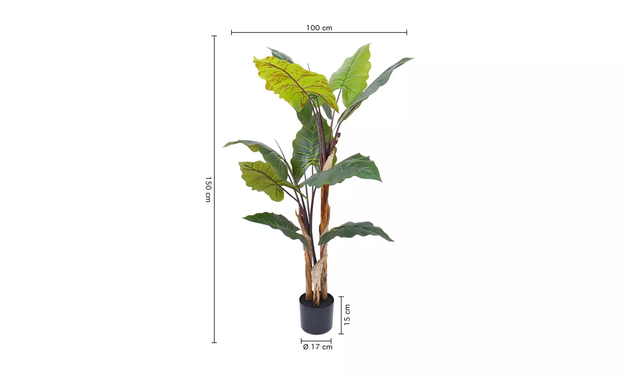 Collezione di piante finte da interno