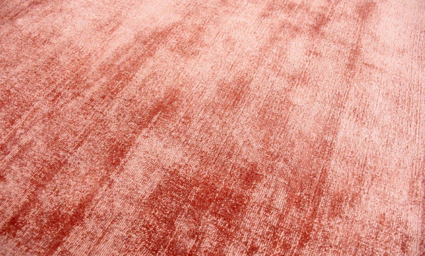 Image 21: Tapis en viscose effet usé