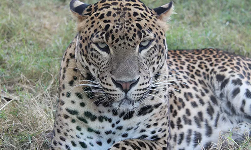 Entrada de un día para niño o adulto en Terra Natura Murcia