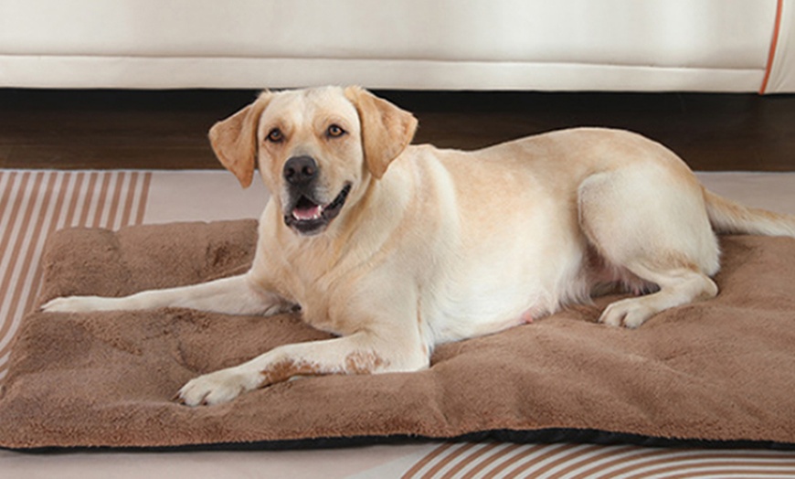 Image 1: Self-Warming Pet Blanket Bed Pad