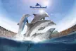 Au cœur de Marineland, le plus grand zoo marin d'Europe avec une entrée unique adulte / enfant - Second Medium