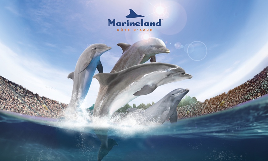 Image 2: Au cœur de Marineland, le plus grand zoo marin d'Europe