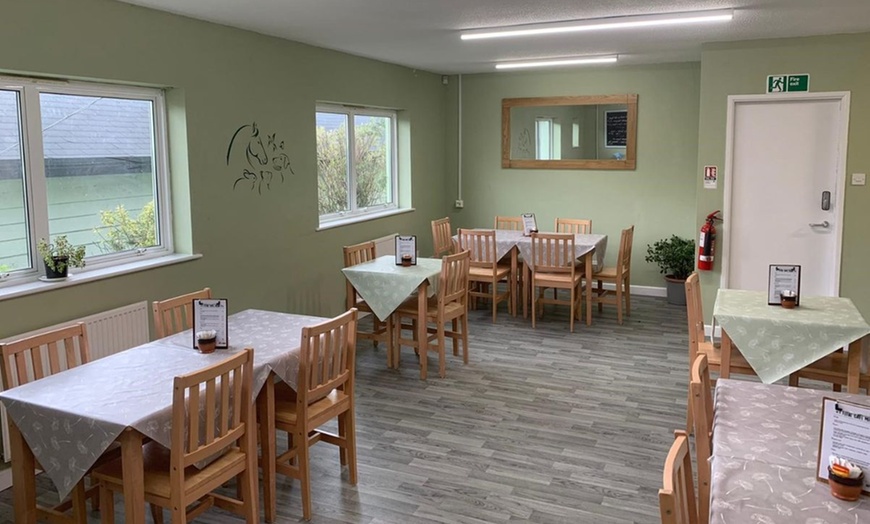 Image 3: Cream Tea and Sandwich at Ferne Animal Sanctuary