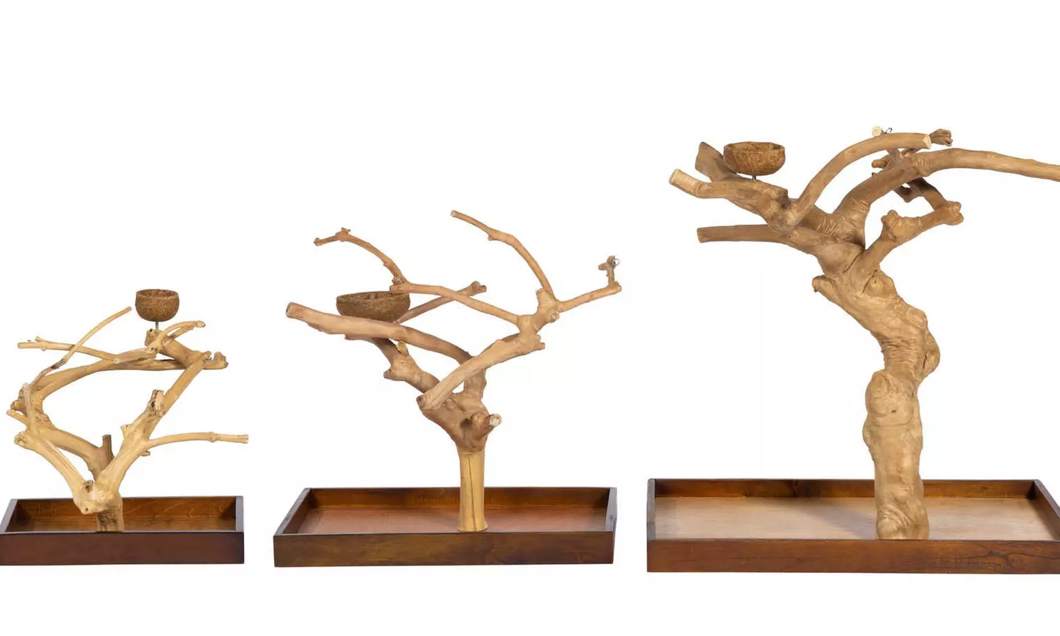 Coffeawood Java Tree Tabletop Playstand for Birds - Primary Image