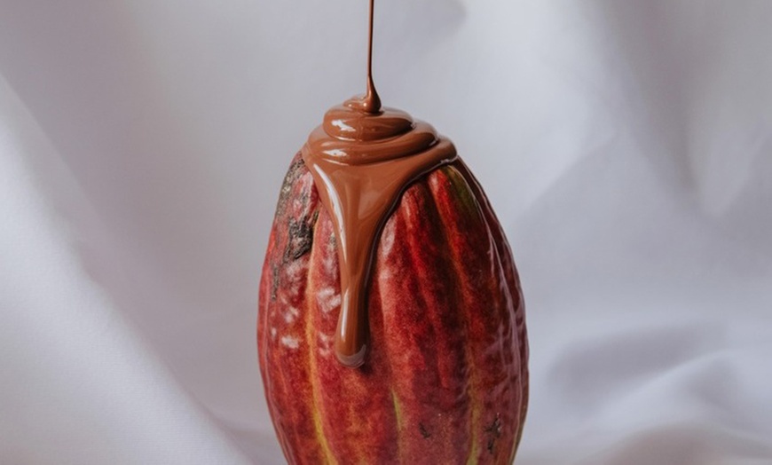 Image 2: Eigenen Kakao herstellen – Workshop „Von der Bohne zum Ritual“