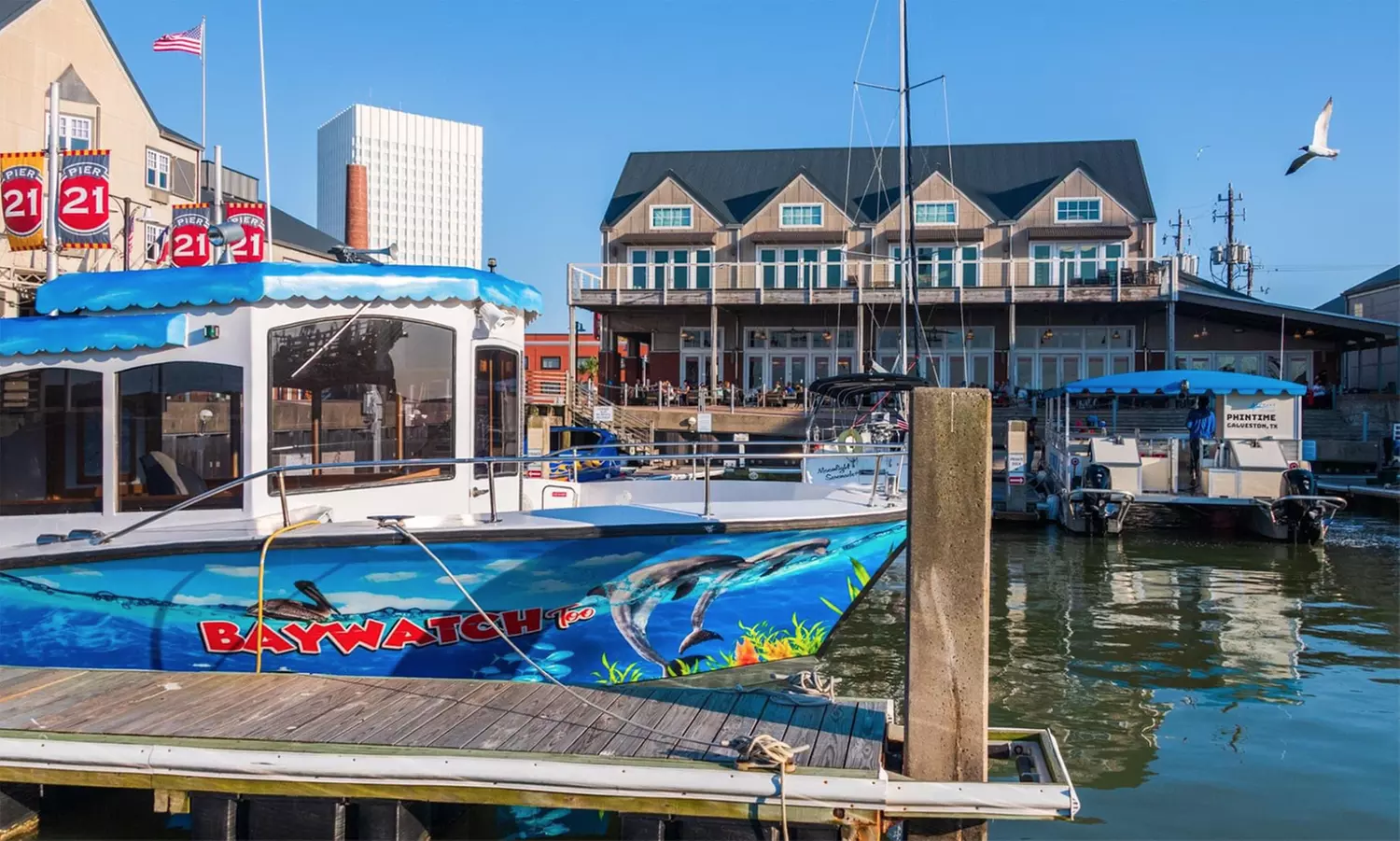 Dolphin Boat Tours from BayWatch Dolphin Tours (Up to 30% Off). Four Options Available. - Second Medium