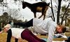 1 Public Session of Goat Yoga or 1-Hour Private Event (Up to 30 People) (Up to 20% Off)