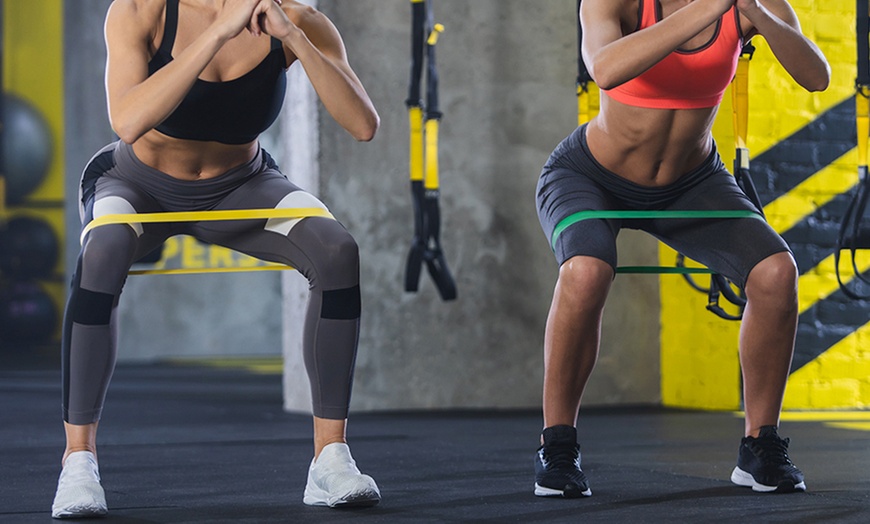 Image 7: Five Resistance Bands with Carrying Bag