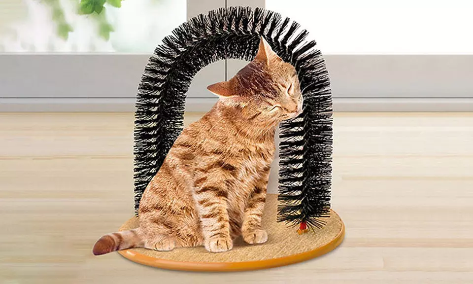 Grattoir en arc pour chats, soin du pelage - Primary Image