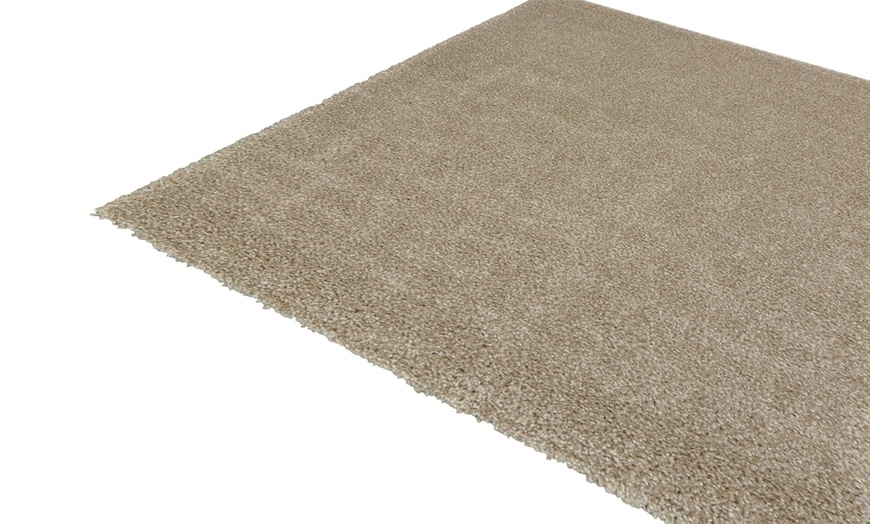 Image 5: Shaggy Carpet