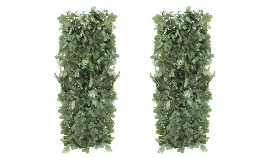 Image 5: Three or Six Meters of Rolled Ivy or Laurel Fence