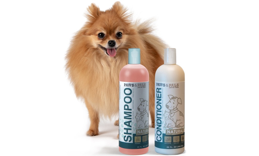 Paws & Pals Natural Oatmeal Dog Shampoo and Conditioner Set (20 Oz ...