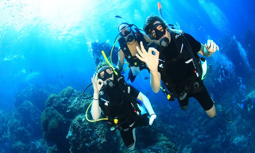 Image 2: PADI Scuba Diver or Open Water Course