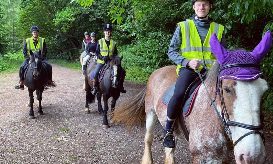 Image 18: Horse Riding and Trekking Lesson at SevernwyeEquestrian